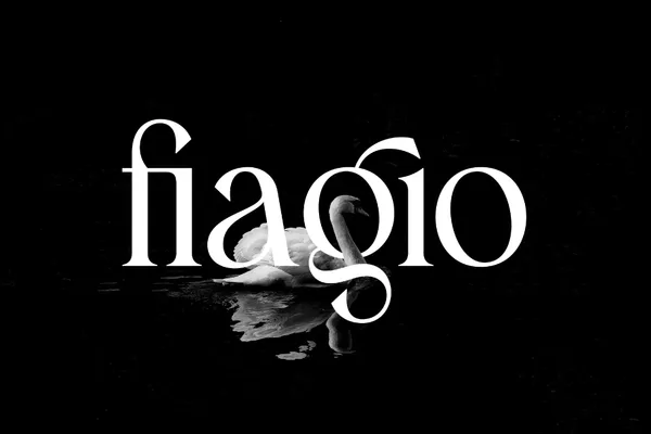 40+ Best Free Wedding Fonts