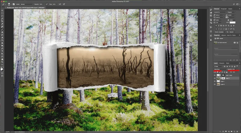 How To Create a Torn Image Overlap in Photoshop