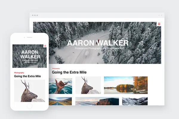 Plunge into the Joy of Website Building with Wix