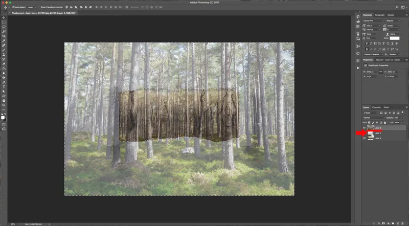 How To Create a Torn Image Overlap in Photoshop