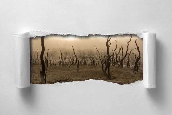 Photoshop Effect Tutorial: How To Make a Torn Image Overlay