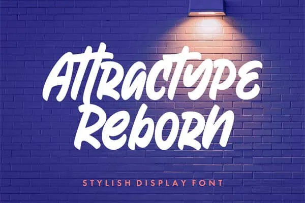 Reborn Display Font