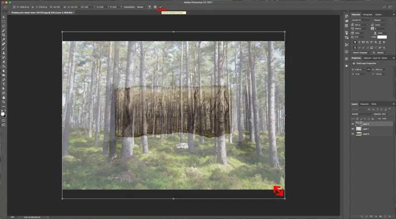 How To Create a Torn Image Overlap in Photoshop