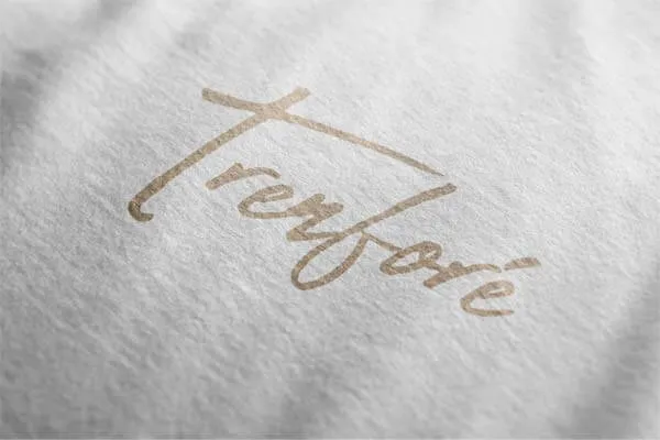 Exquisite Fabric Logo Mockup