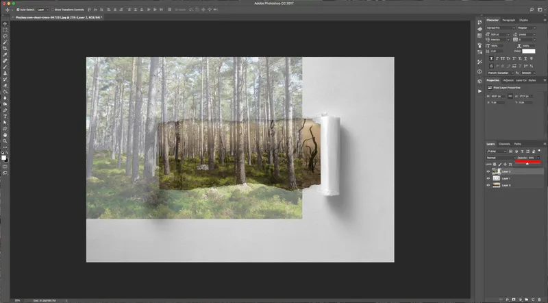 How To Create a Torn Image Overlap in Photoshop