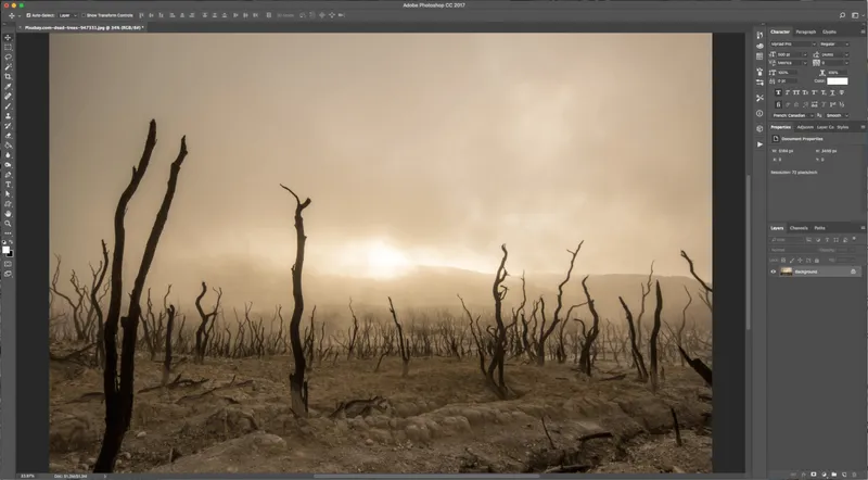 How To Create a Torn Image Overlap in Photoshop